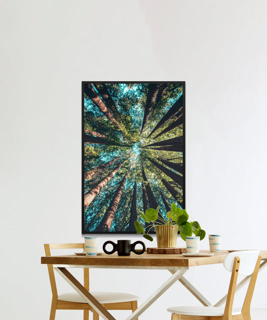 Forest Trees Poster - Matte Paper
