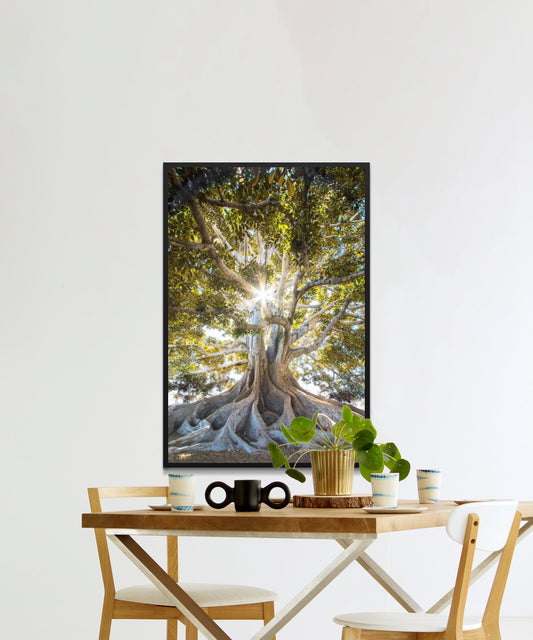 Giant Tree Poster - Matte Paper