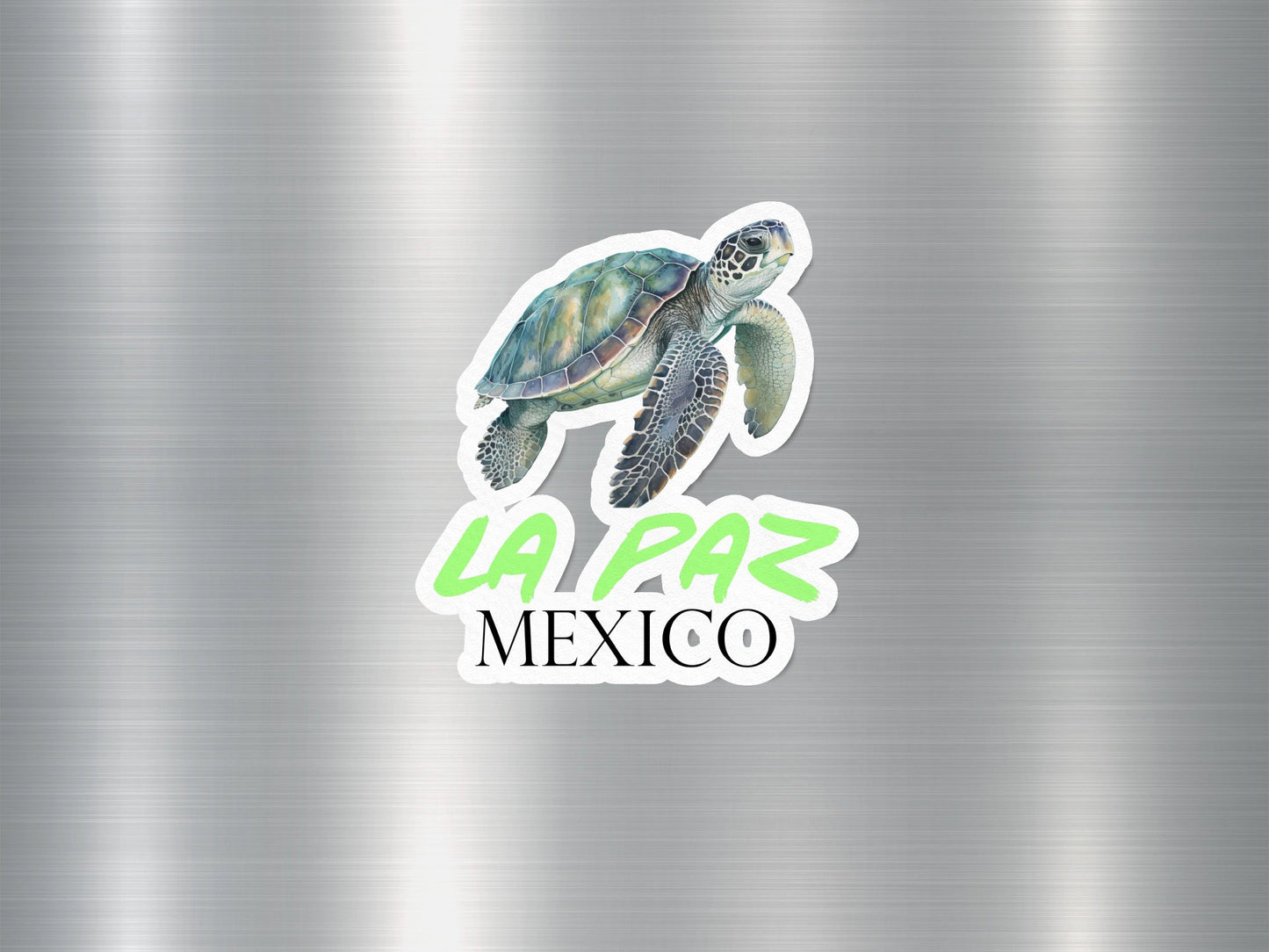 La Paz Mexico Turtle Sticker