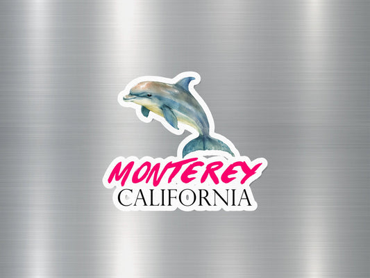 Monterey California Dolphin Sticker