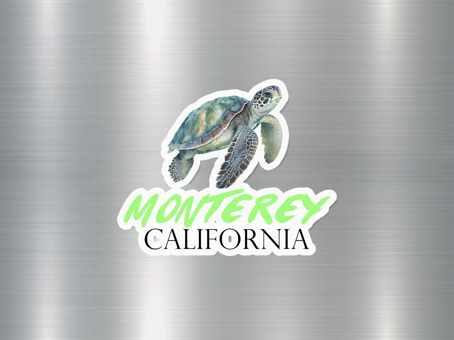 Monterey California Turtle Sticker