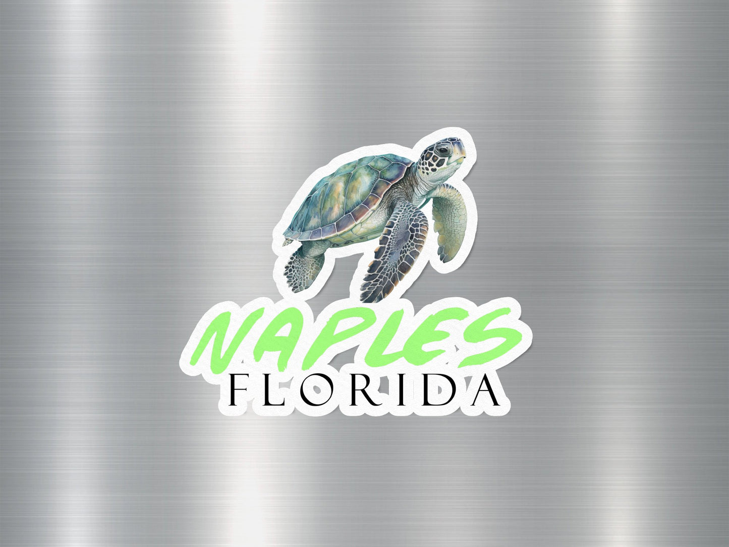 Naples Florida Turtle Sticker