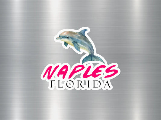 Wholesale Naples Florida Dolphin Sticker