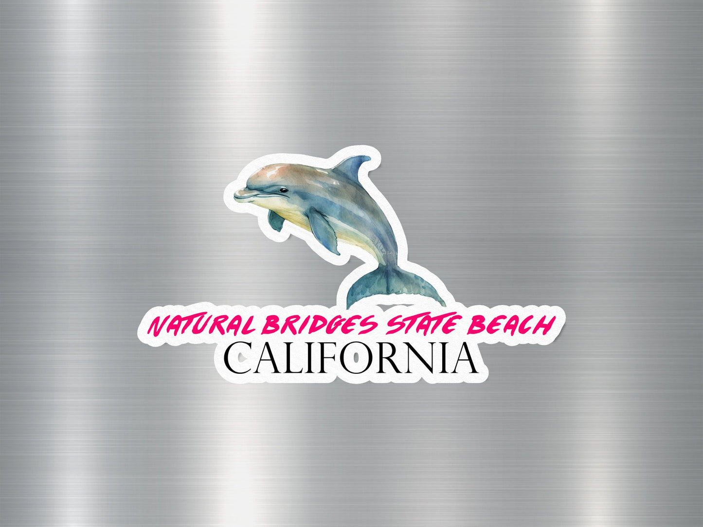 Natural Bridges State Beach California Dolphin Sticker