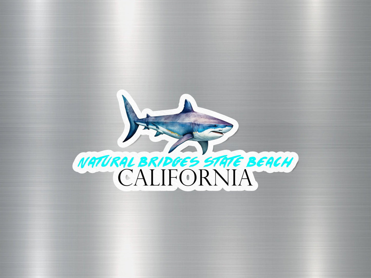 Natural Bridges State Beach California Shark Sticker