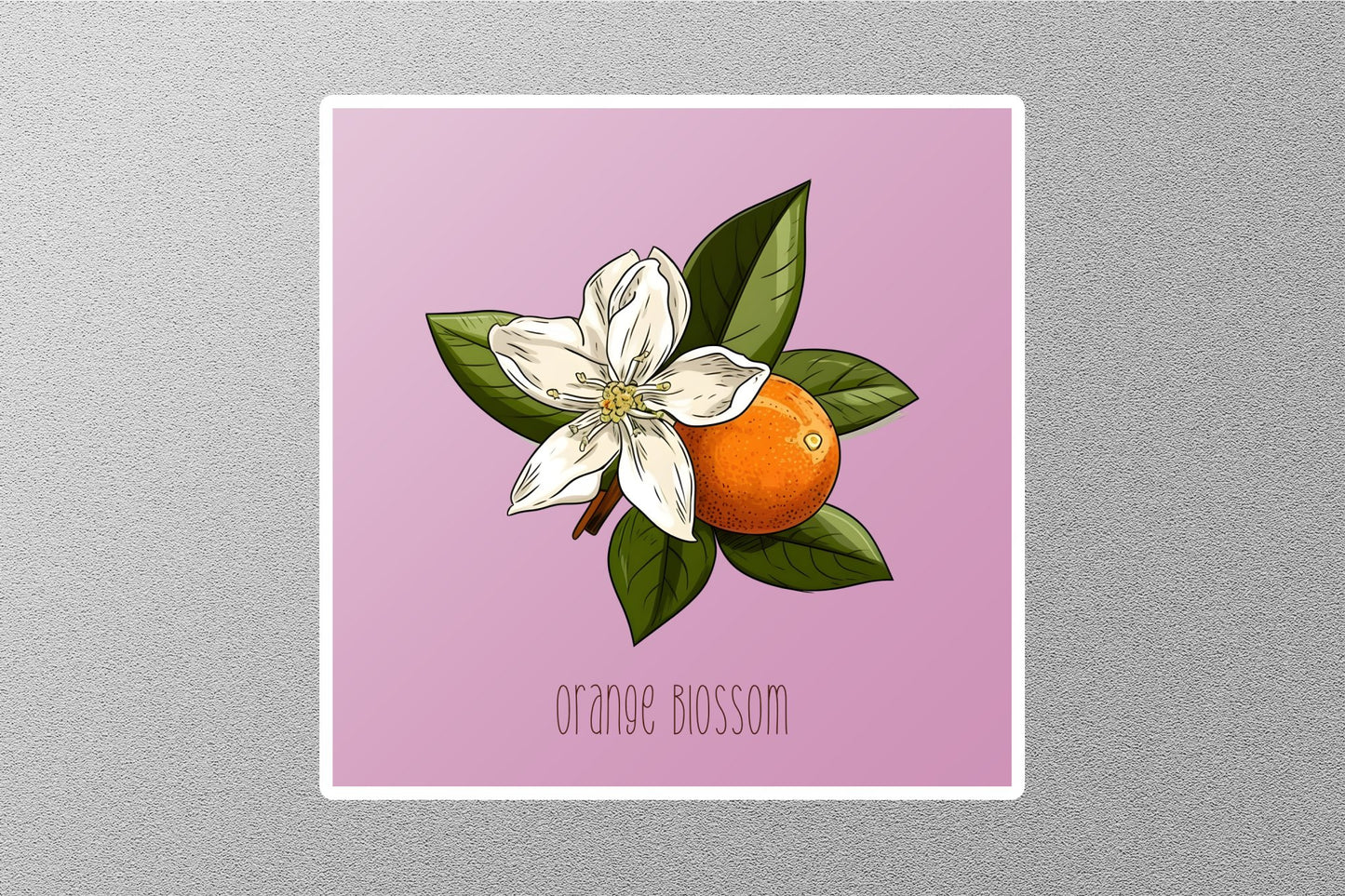 Wholesale Orange Blossom Sticker