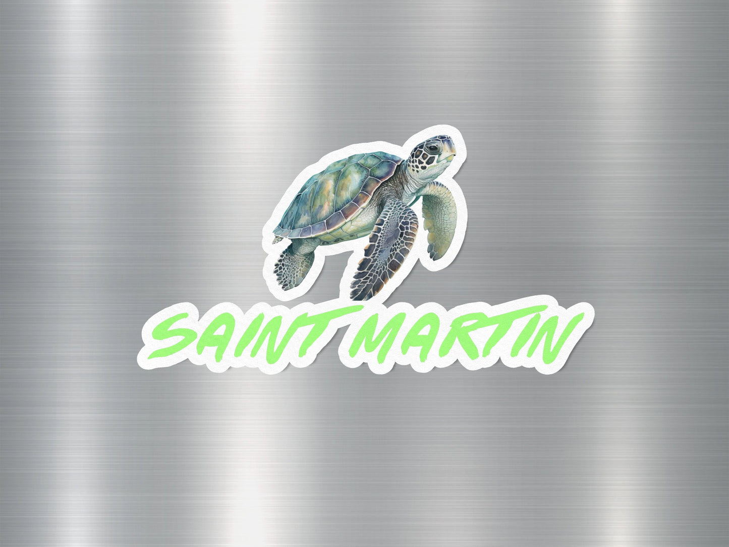 Saint Martin Florida Turtle Sticker