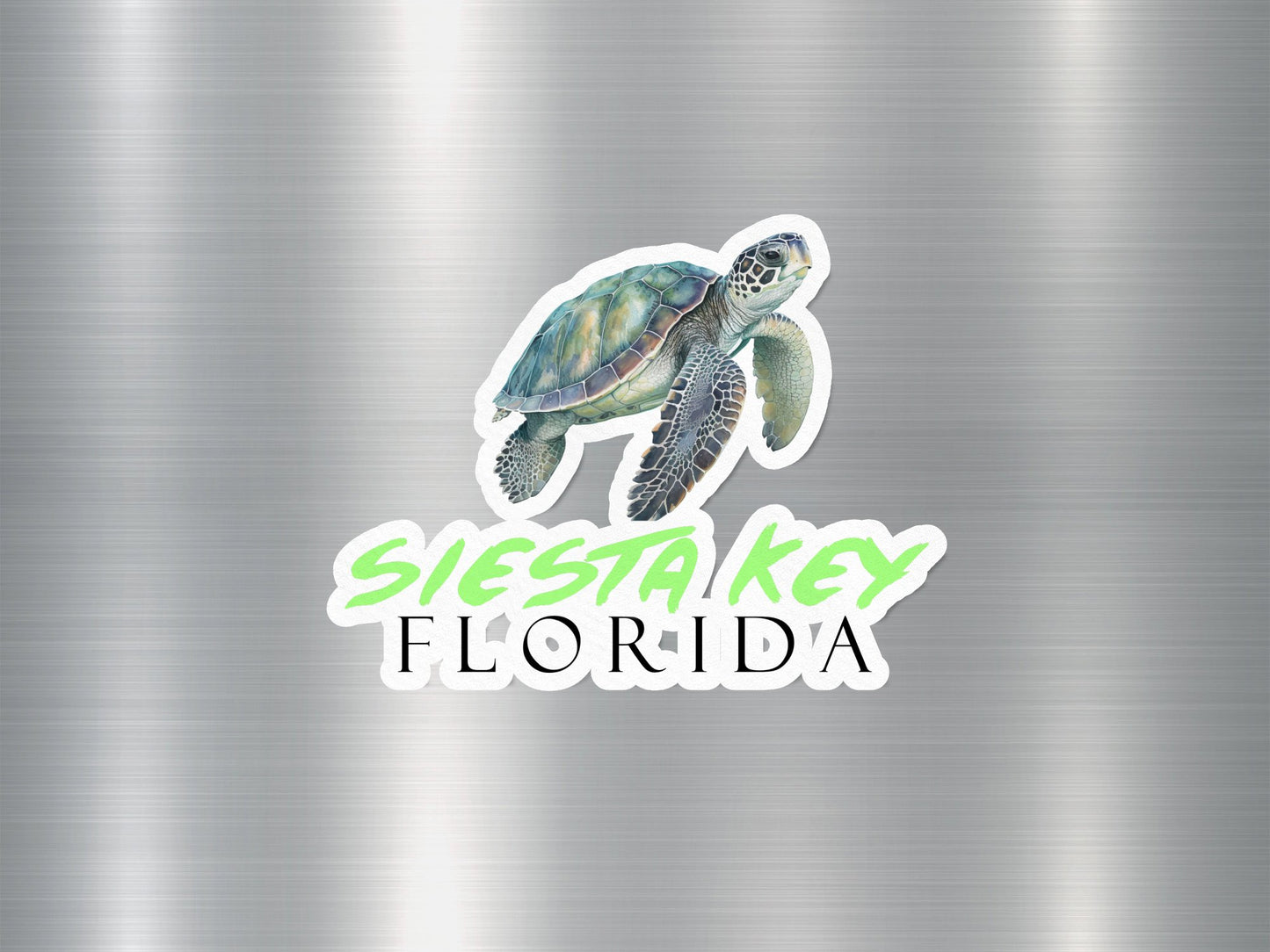 Siesta Key Florida Turtle Sticker