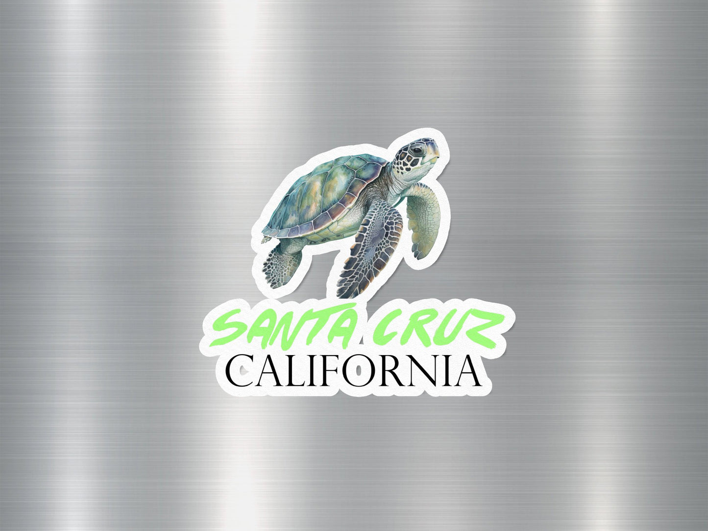 Santa Cruz California Turtle Sticker