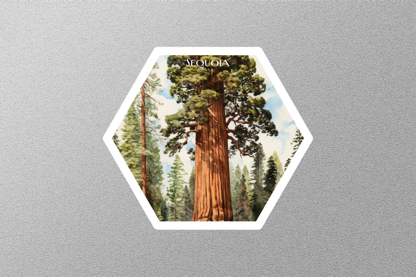 Sequoia 1 National Park Sticker