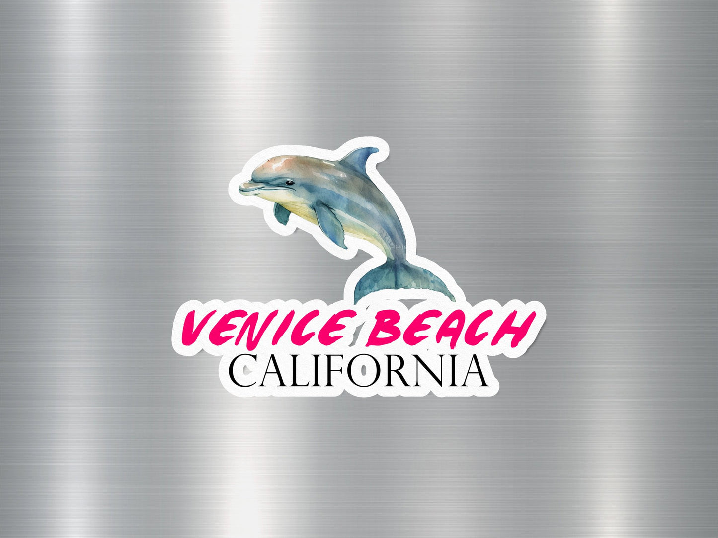 Venice Beach California Dolphin Sticker