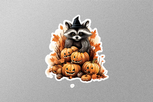 Cute Raccoon Pumpkins Halloween Sticker