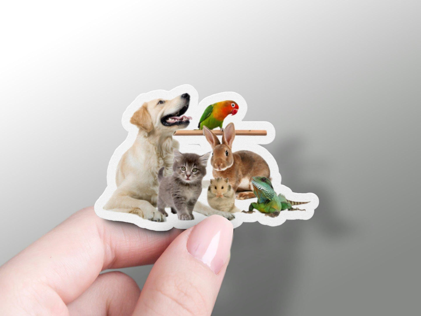 Animal And Bird Sticker