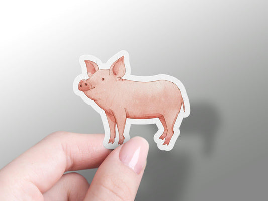 Pig Standing Sticker