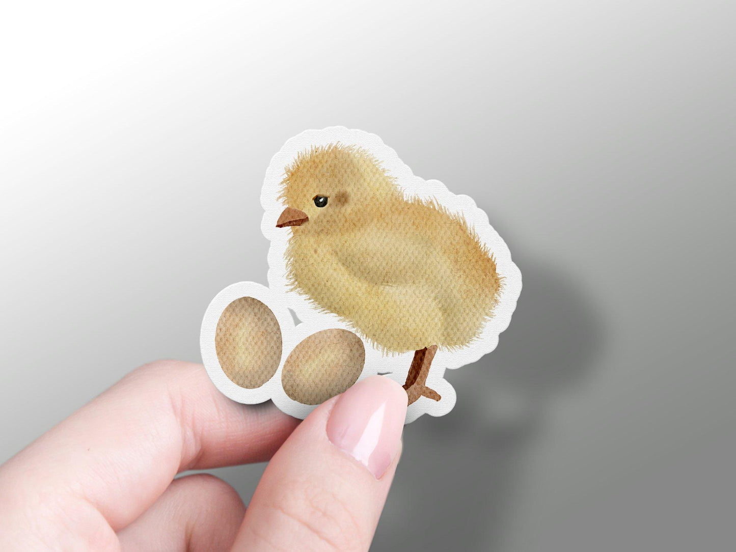 Chicken Sticker