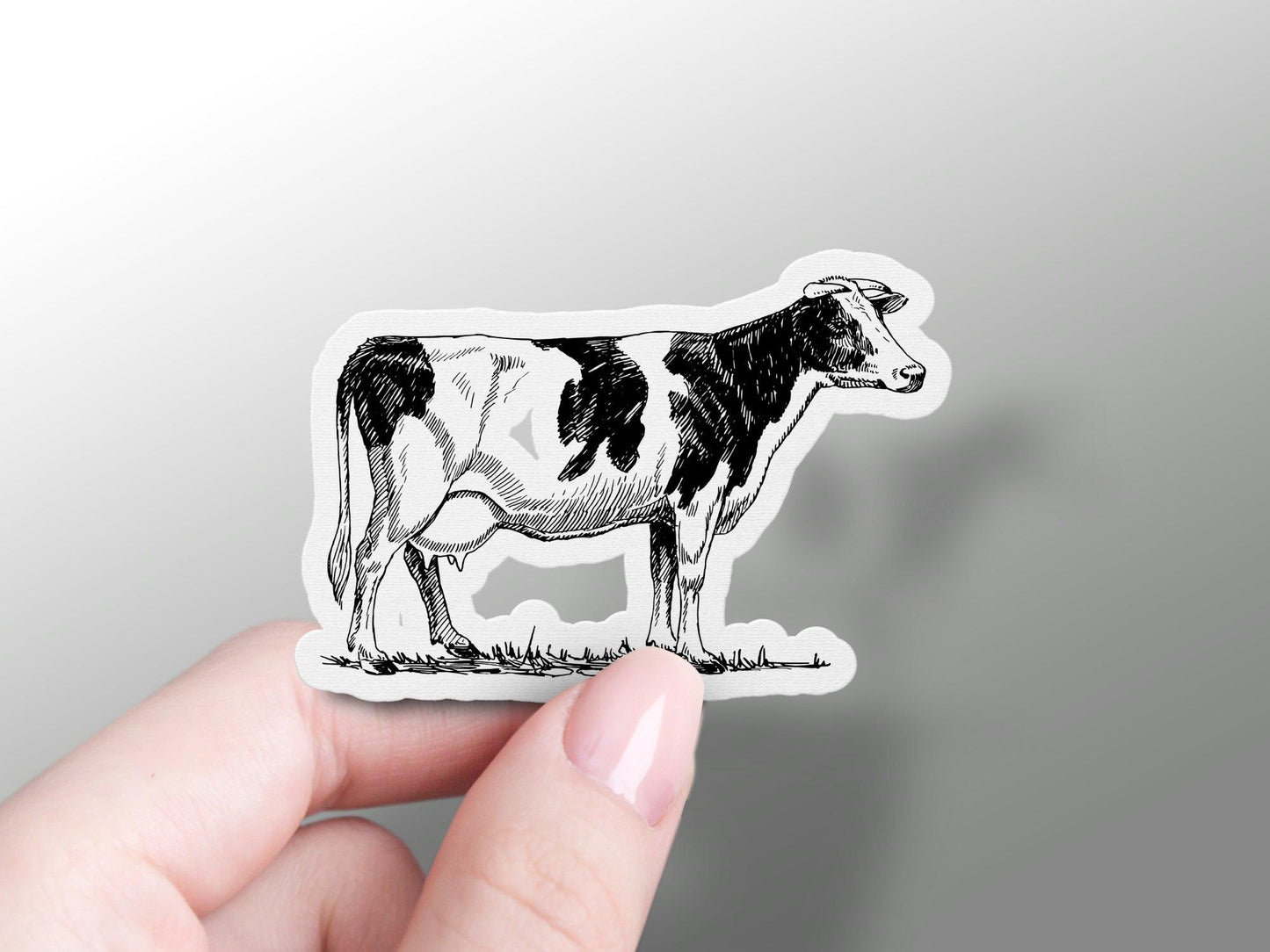 White Cow Sticker