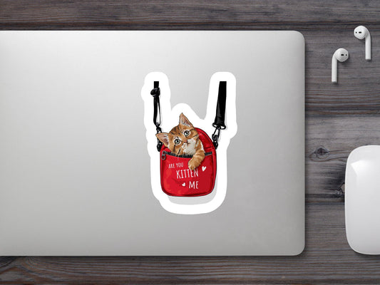 Wholesale Are You Kitten me Sticker
