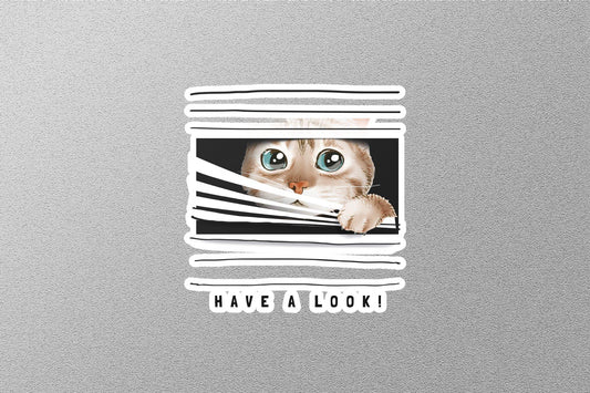 Wholesale Have A Look Sticker