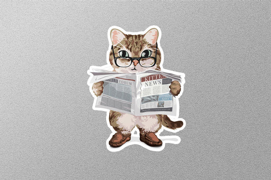 Wholesale Kitten News  Sticker