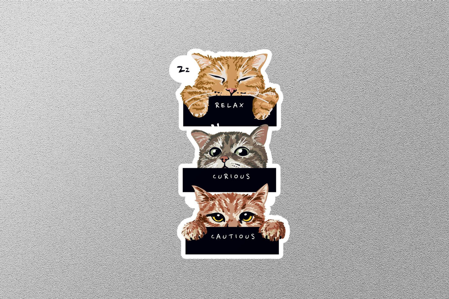 Relax Curious Cautious Sticker