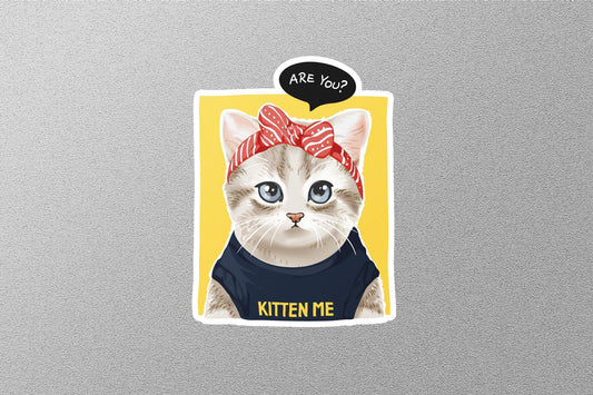 Wholesale Are You Kitten Me Sticker