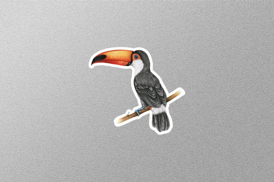 Toucan Bird Sticker