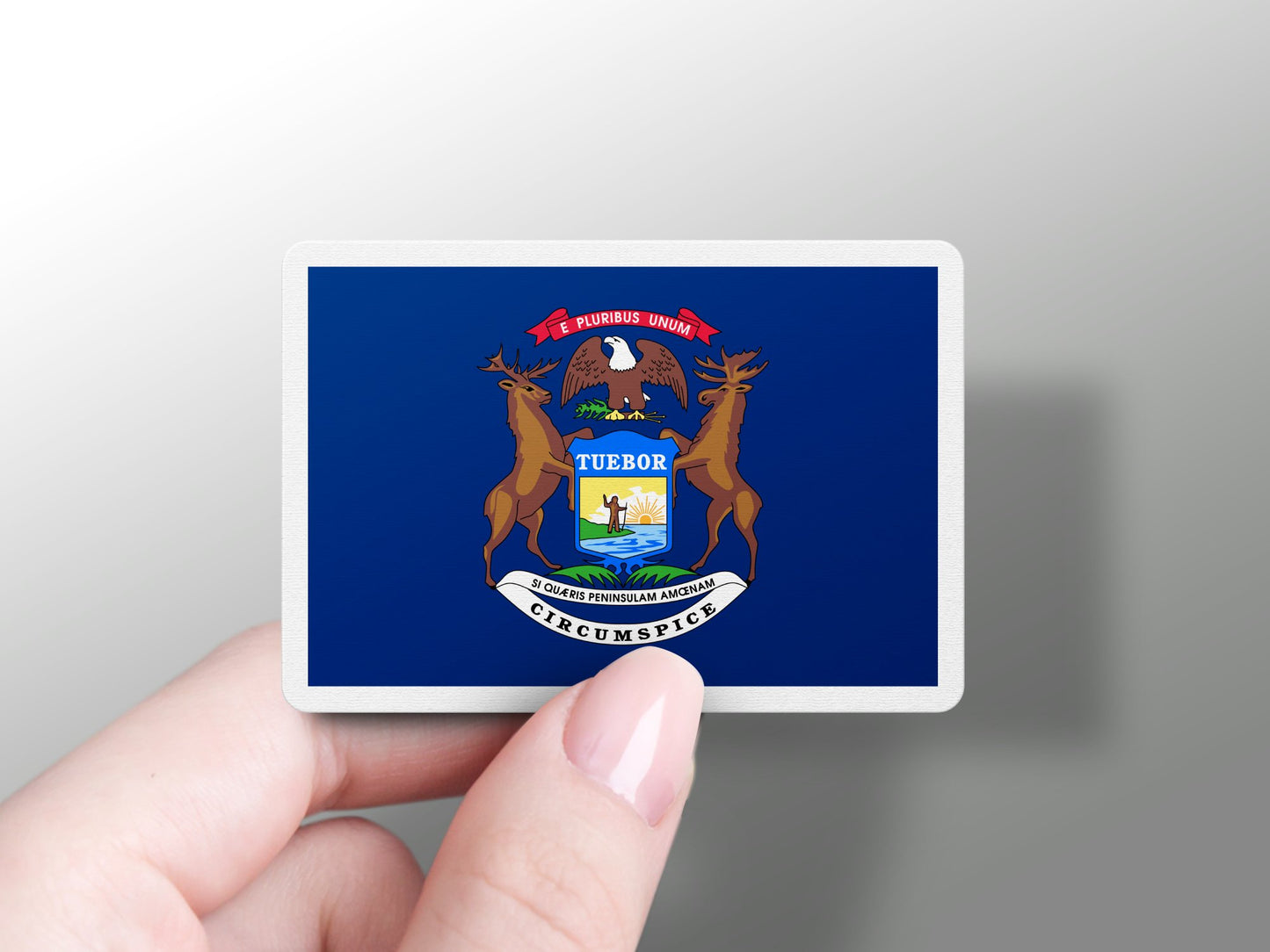 Michigan State Flag Sticker