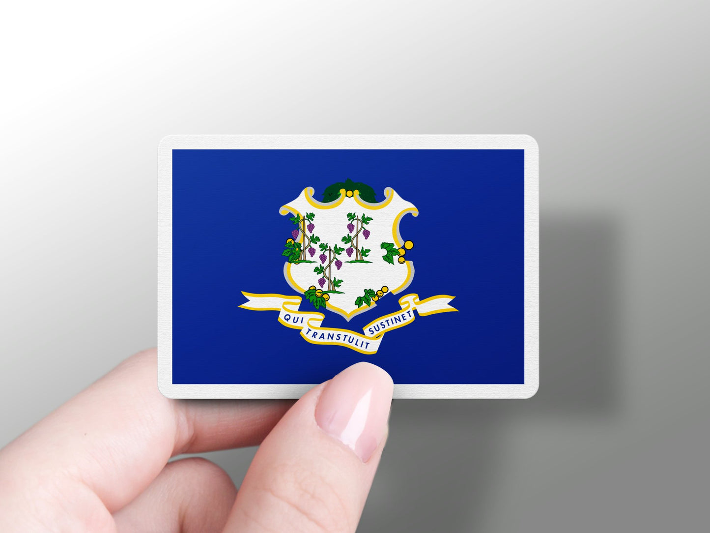 Connecticut State Flag Sticker