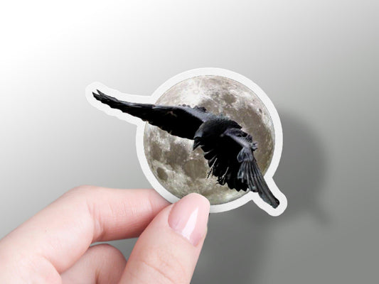 Wholesale Crow Sticker
