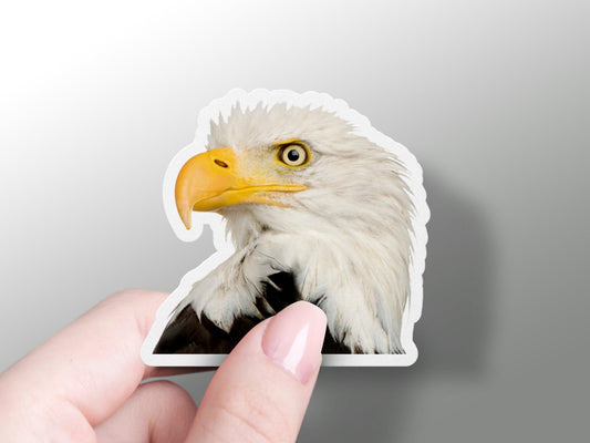 Wholesale Eagle Head Sticker