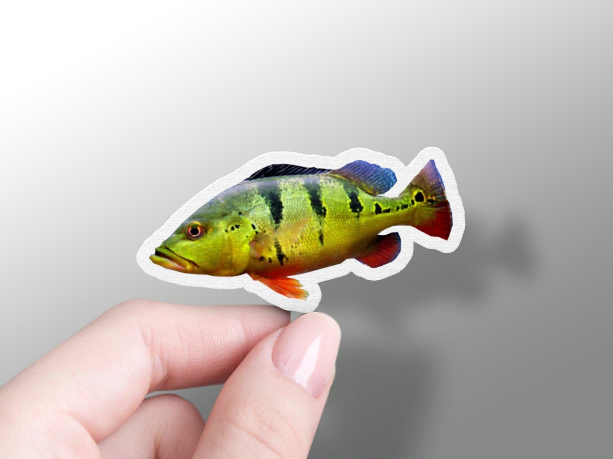 Assam Fish Sticker Wholesale Fish Sticker – GraffMerch.com