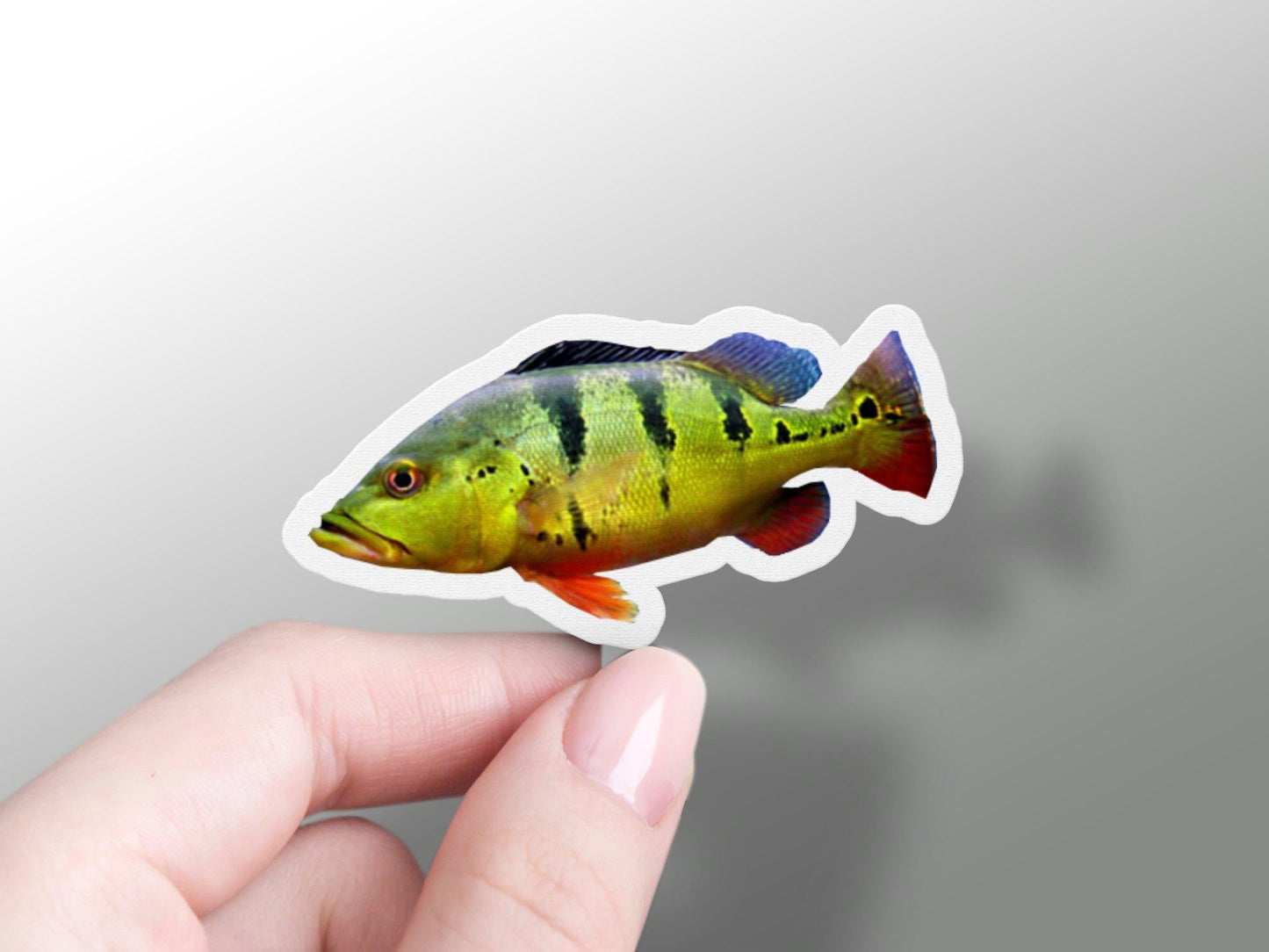 Fish Sticker