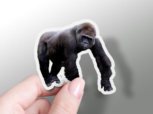 Wholesale Gorilla Sticker
