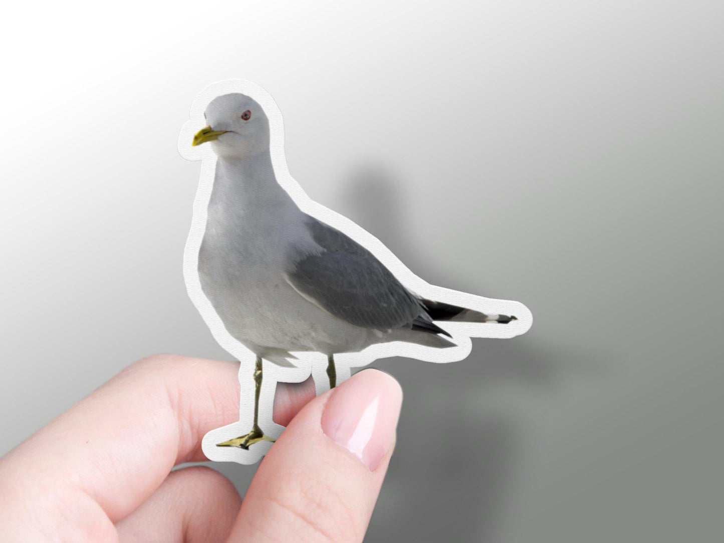 Gull Sticker