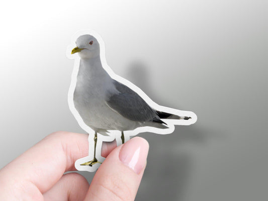 Wholesale Gull Sticker