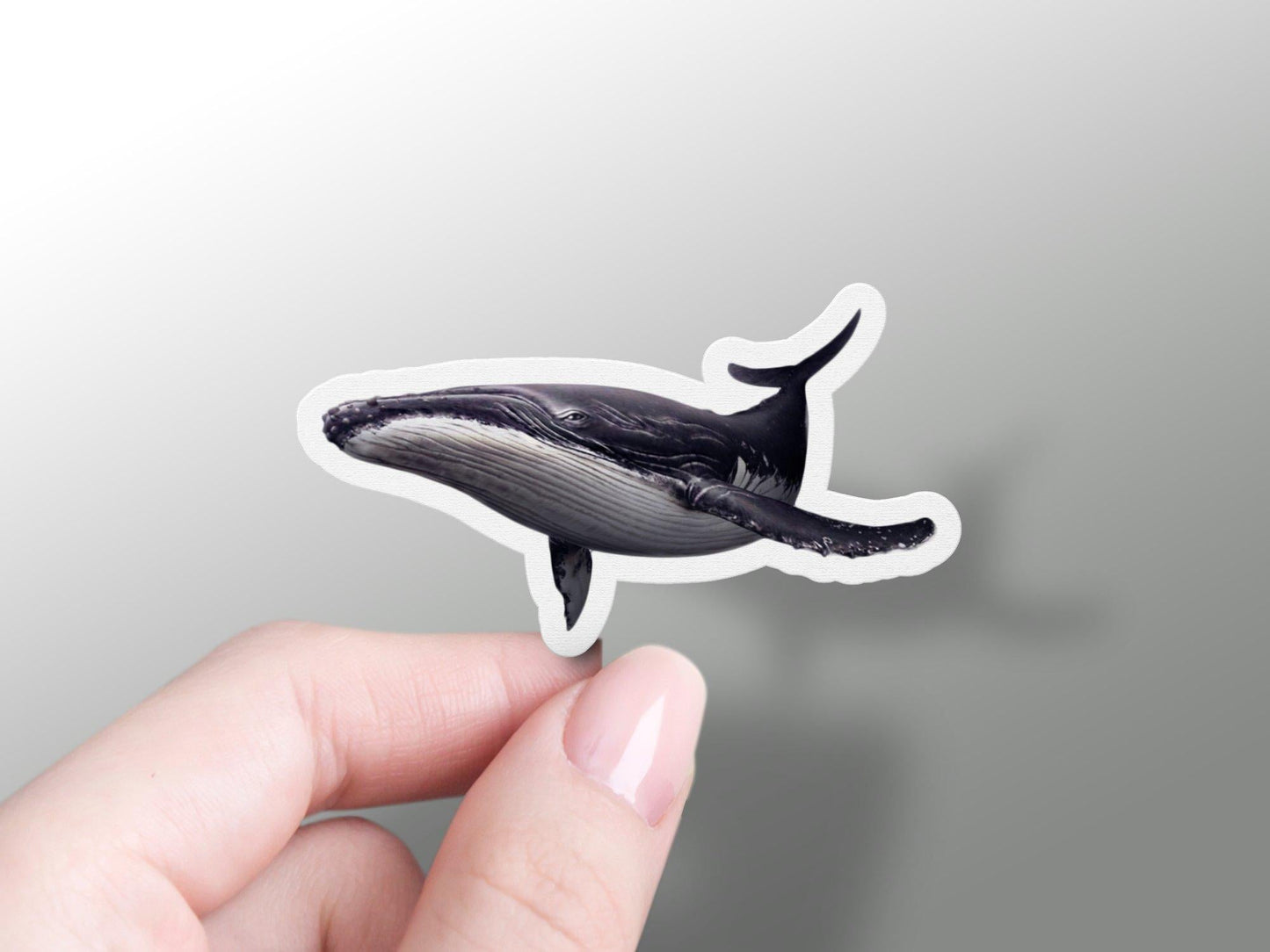 Humpback Whale Sticker