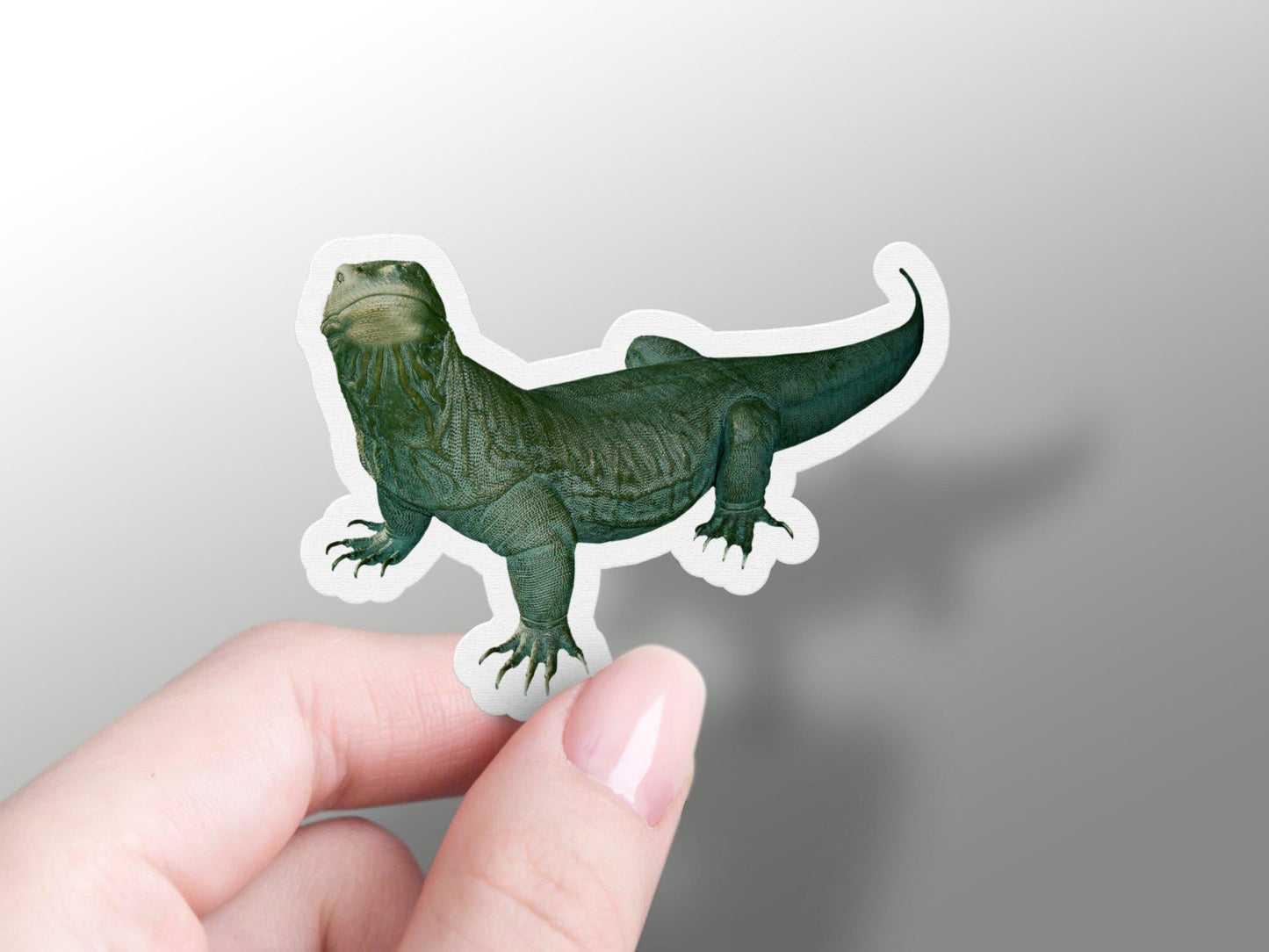 Komodo Dragon Sticker