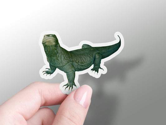 Wholesale Komodo Dragon Sticker