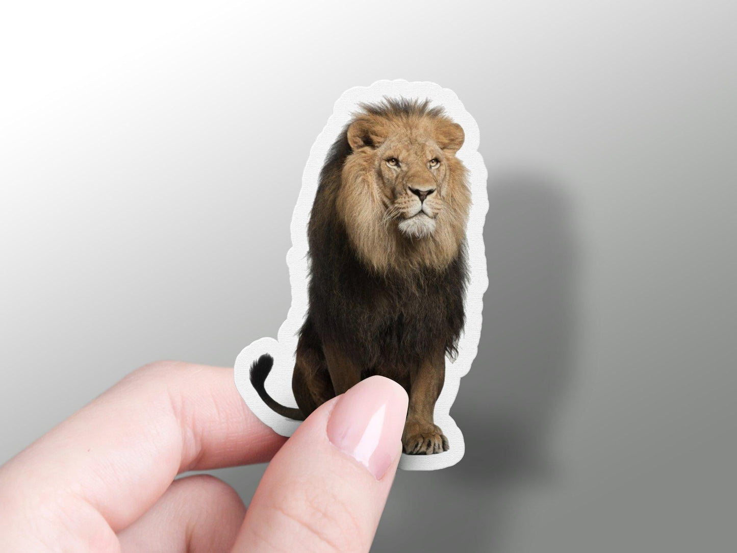 Lion Sticker