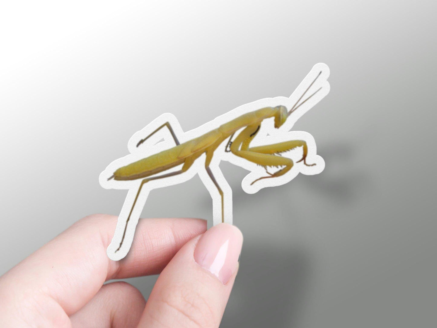 Mantis Sticker