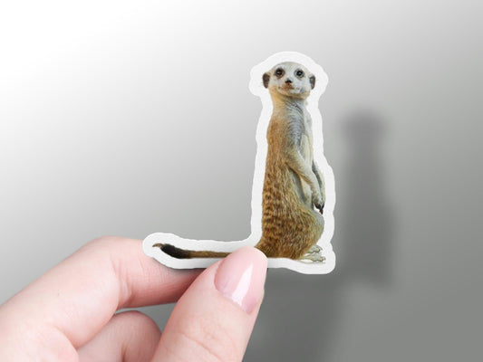 Wholesale Meerkat Sticker