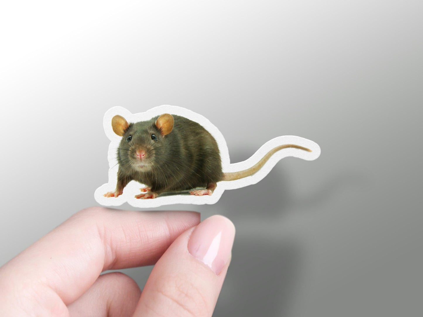 Mouse Sticker