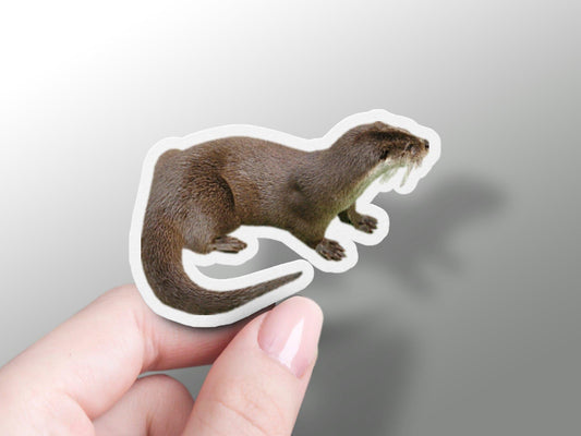 Wholesale Otter Sticker