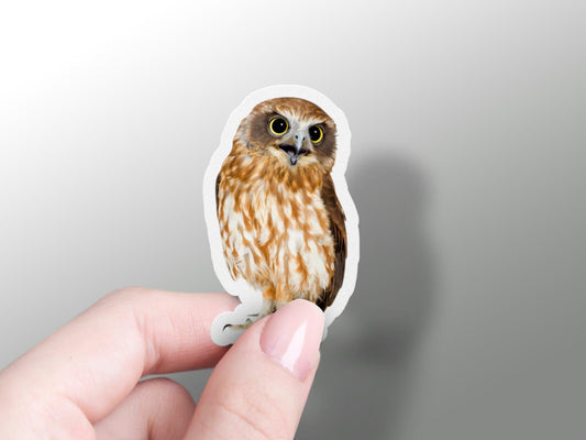 Wholesale Owl Sticker