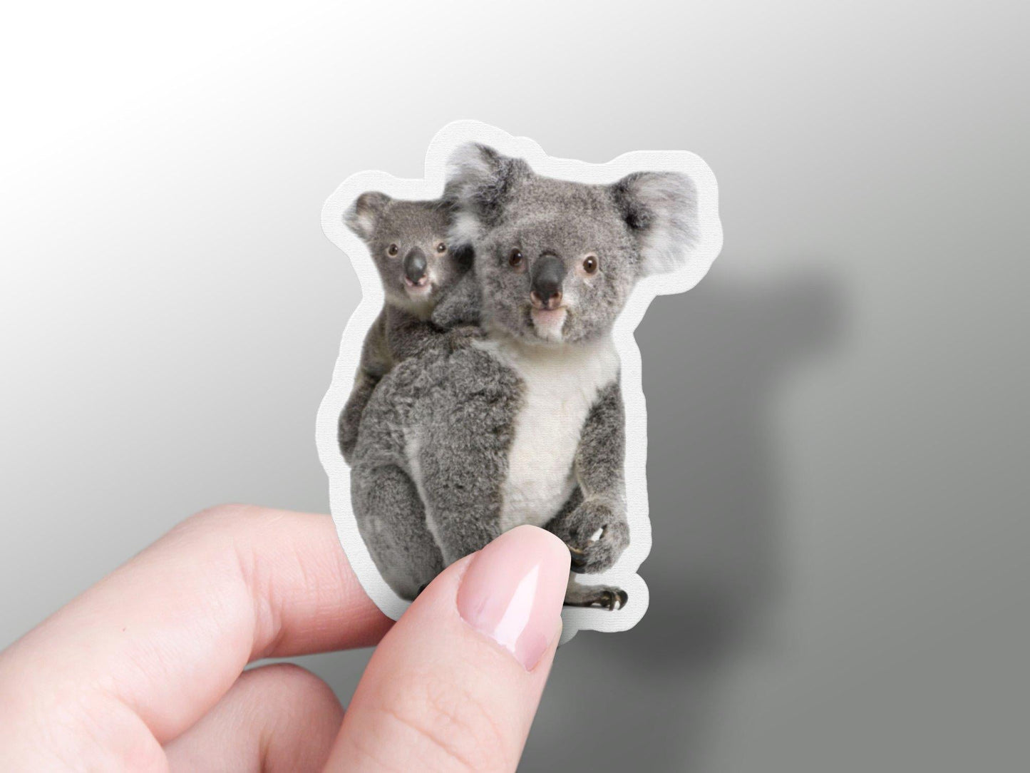 Koala Sticker