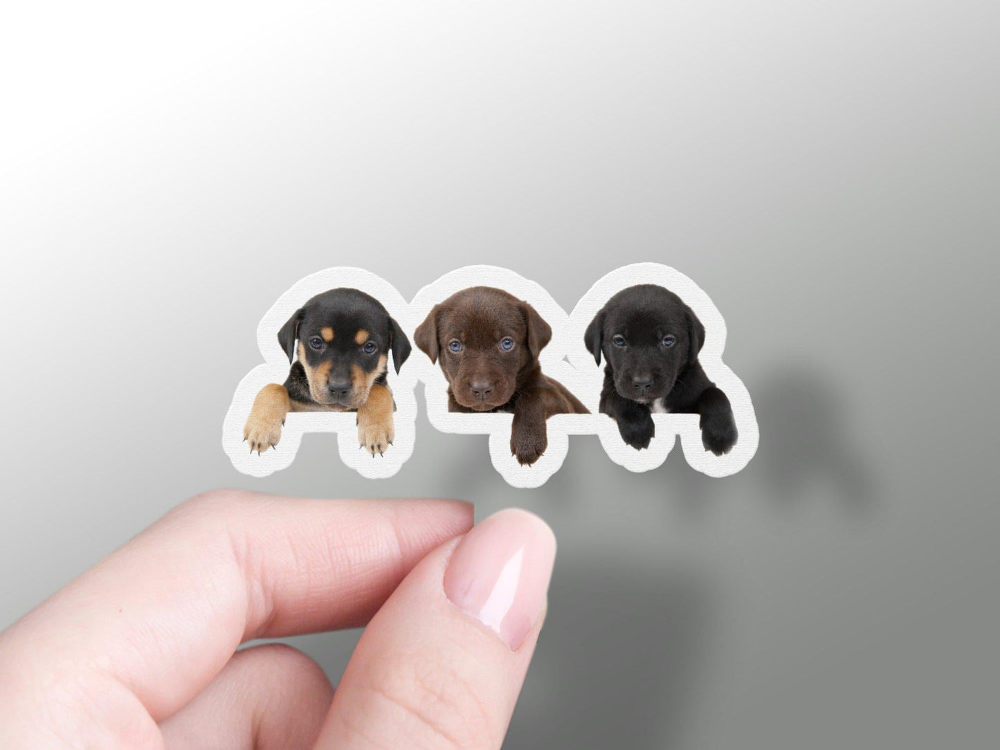 Puppy Sticker