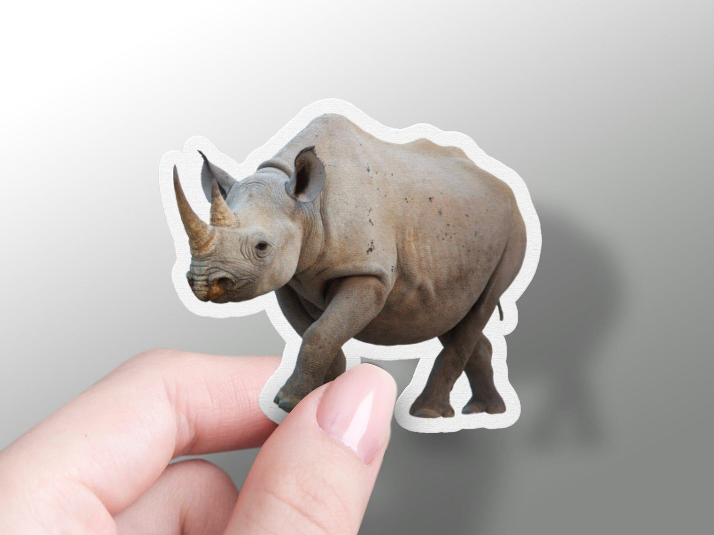 Rhino Sticker