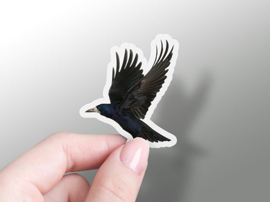 Wholesale Rook Sticker