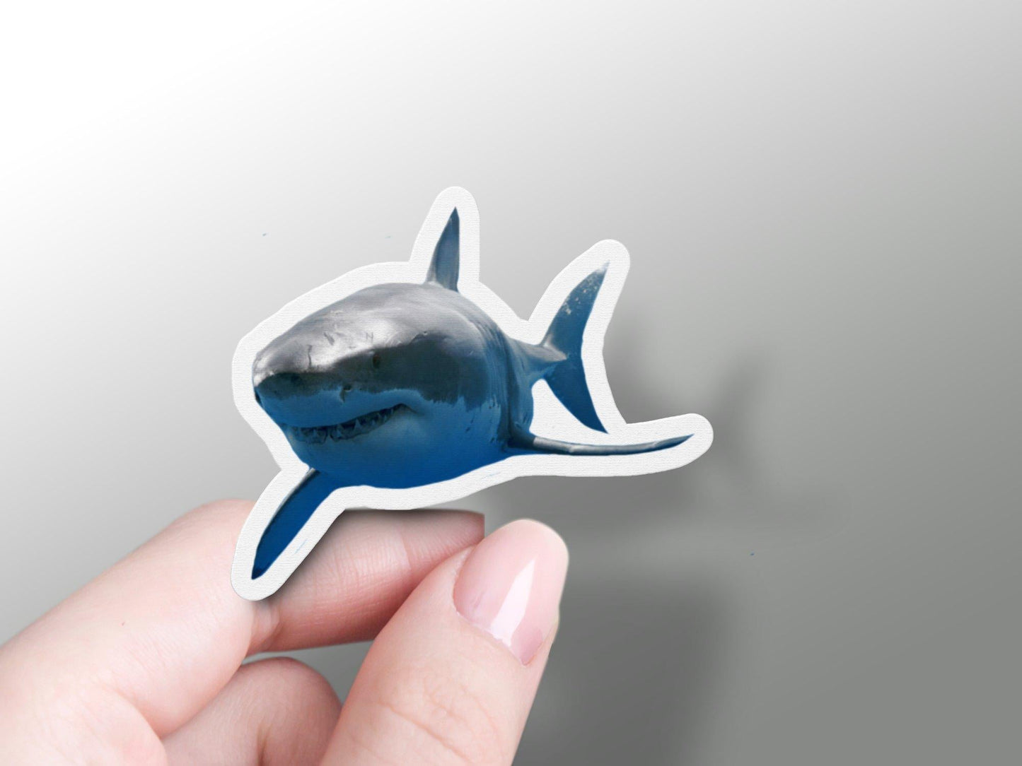 Shark Sticker