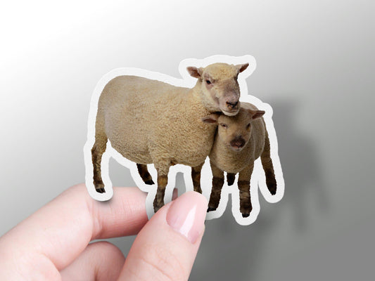 Wholesale Sheep Sticker